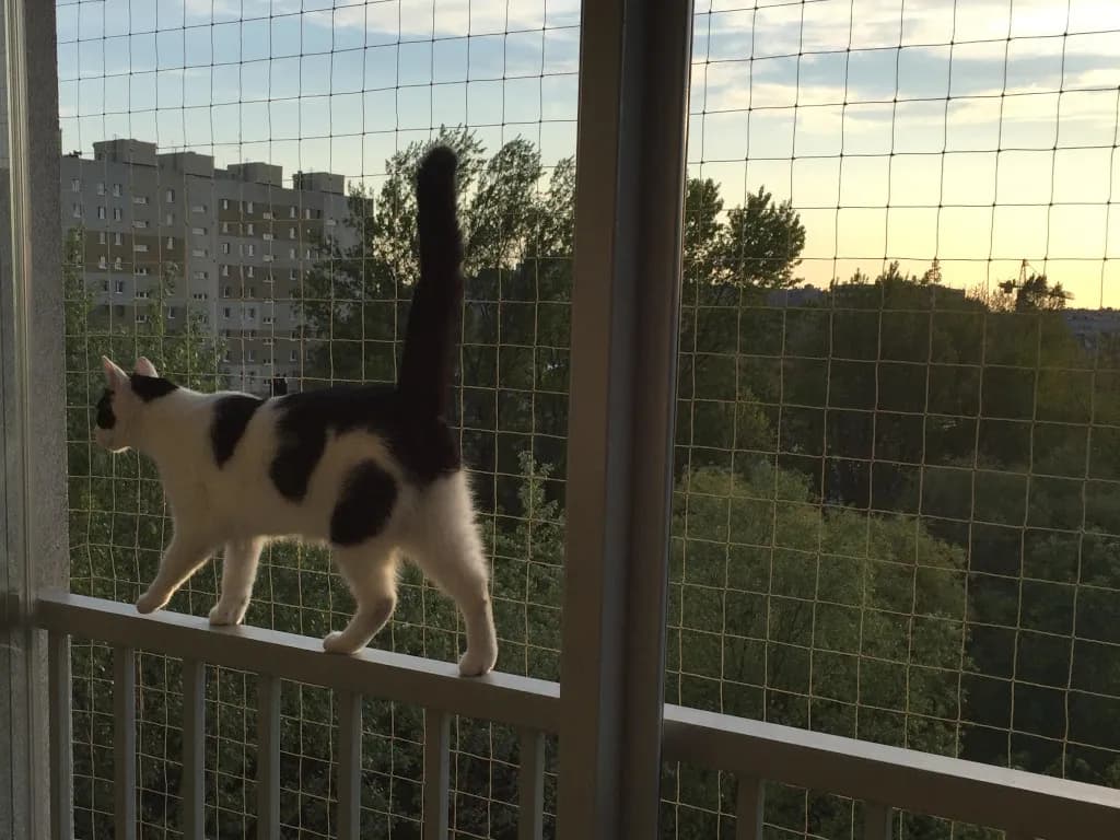 Ile kosztuje siatka na okno? Ceny różnych moskitier i montażu.